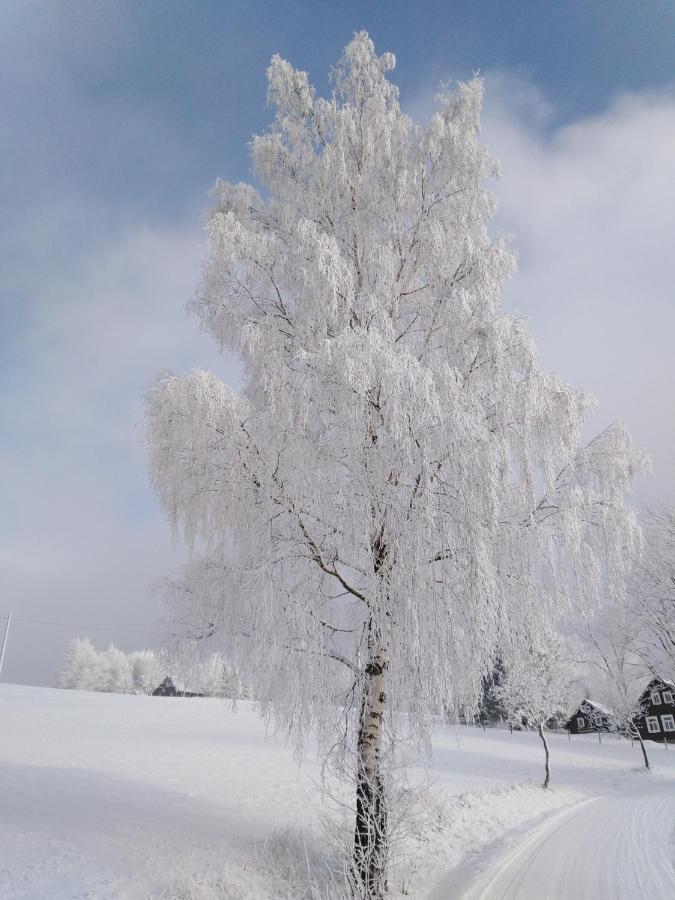 Sirovka Villa Horní Polubný Buitenkant foto