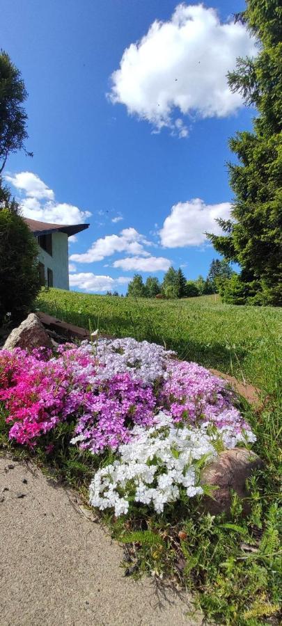 Sirovka Villa Horní Polubný Buitenkant foto